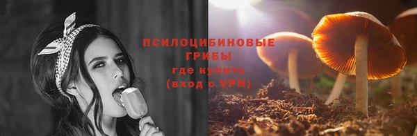 бошки Алексин