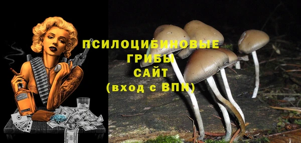 крисы Алзамай