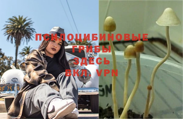 скорость Алексеевка