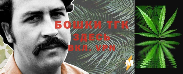 бошки Алексин