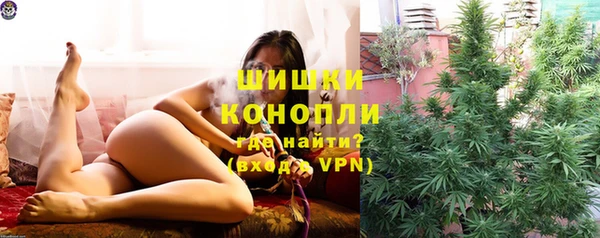 бошки Алексин