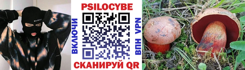 Галлюциногенные грибы Magic Shrooms Калтан